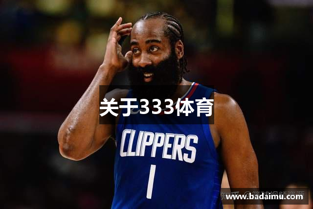 关于333体育